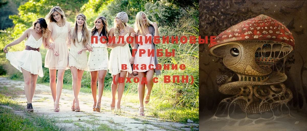 сатива Алексеевка