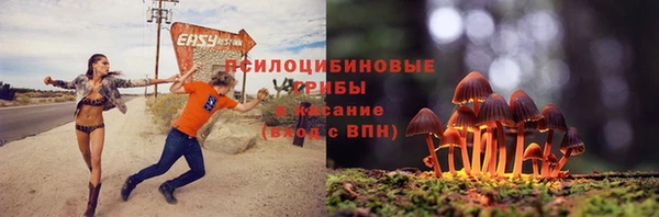 бутират Арсеньев