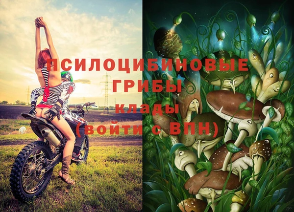 бутират Арсеньев