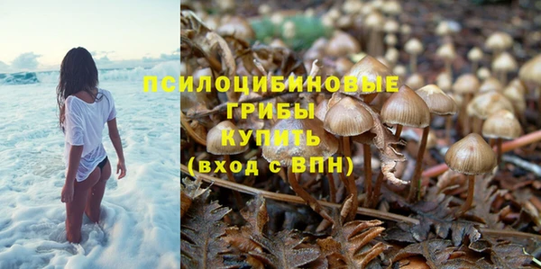 бутират Арсеньев