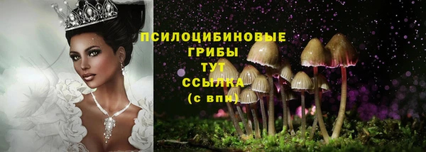 ешки Армянск