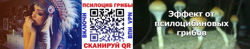 blacksprut как зайти Когалым сайты даркнета какой сайт Псилоцибиновые грибы мухоморы