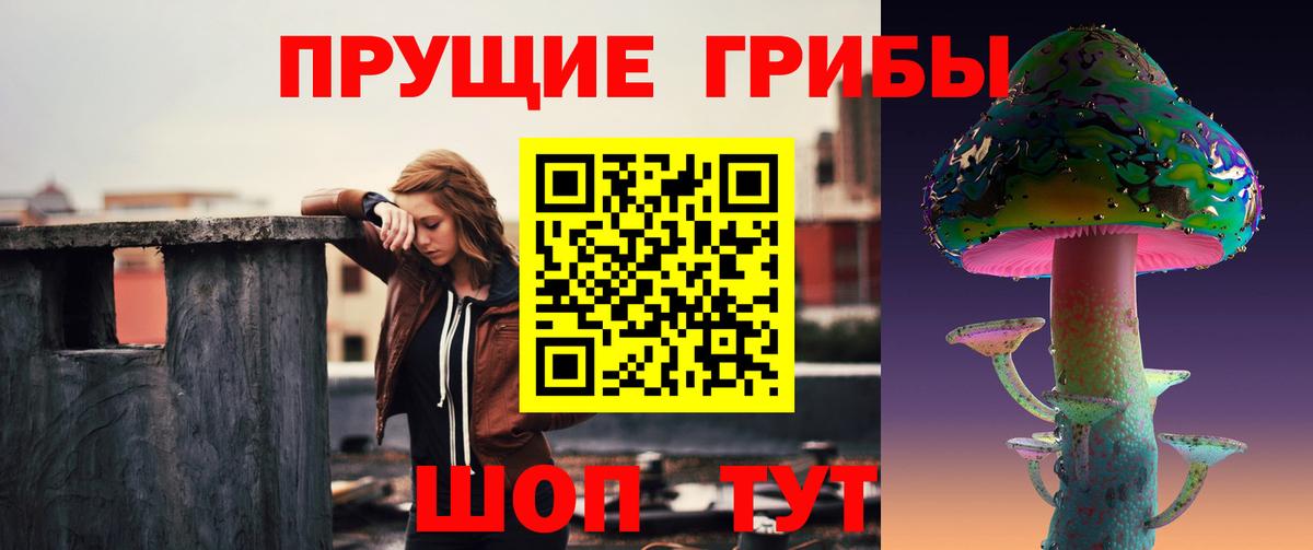 Когалым  Псилоцибиновые грибы MAGIC MUSHROOMS  Вход с VPN 