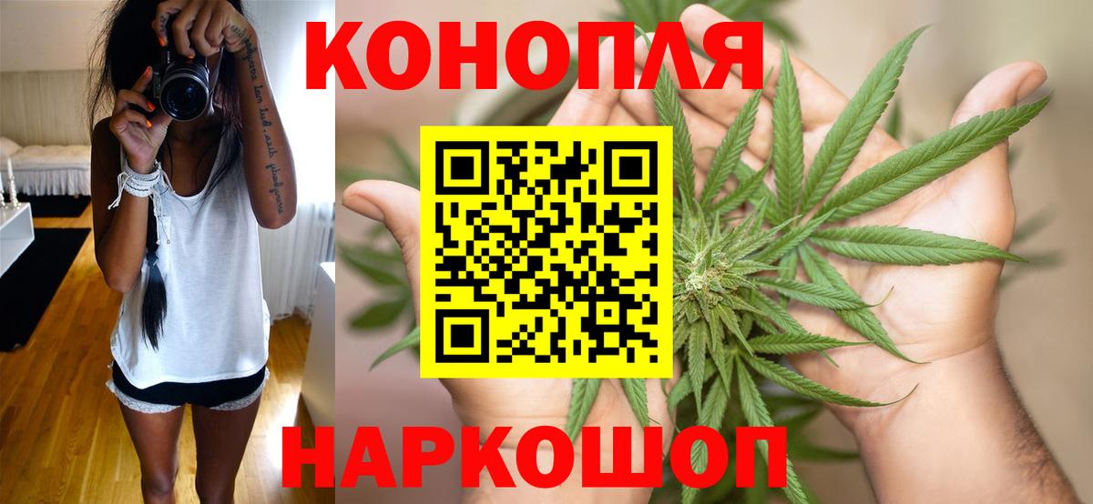 Конопля MAZAR  Каннабис план  Вход с VPN  Когалым 